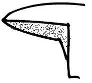 Adnate Decurrent Toothed